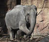Zürich Zoo 2023 - XVI