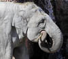 Zürich Zoo 2023 - XVII