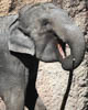 Zürich Zoo 2023 - XVIII