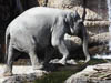 Zürich Zoo 2023 - XXI