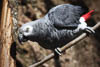 Zürich Zoo 2023 - XXII