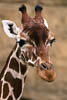Zürich Zoo 2023 - XXIV