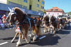 Winzerfest Döttingen Herbst 2023 - XLVII